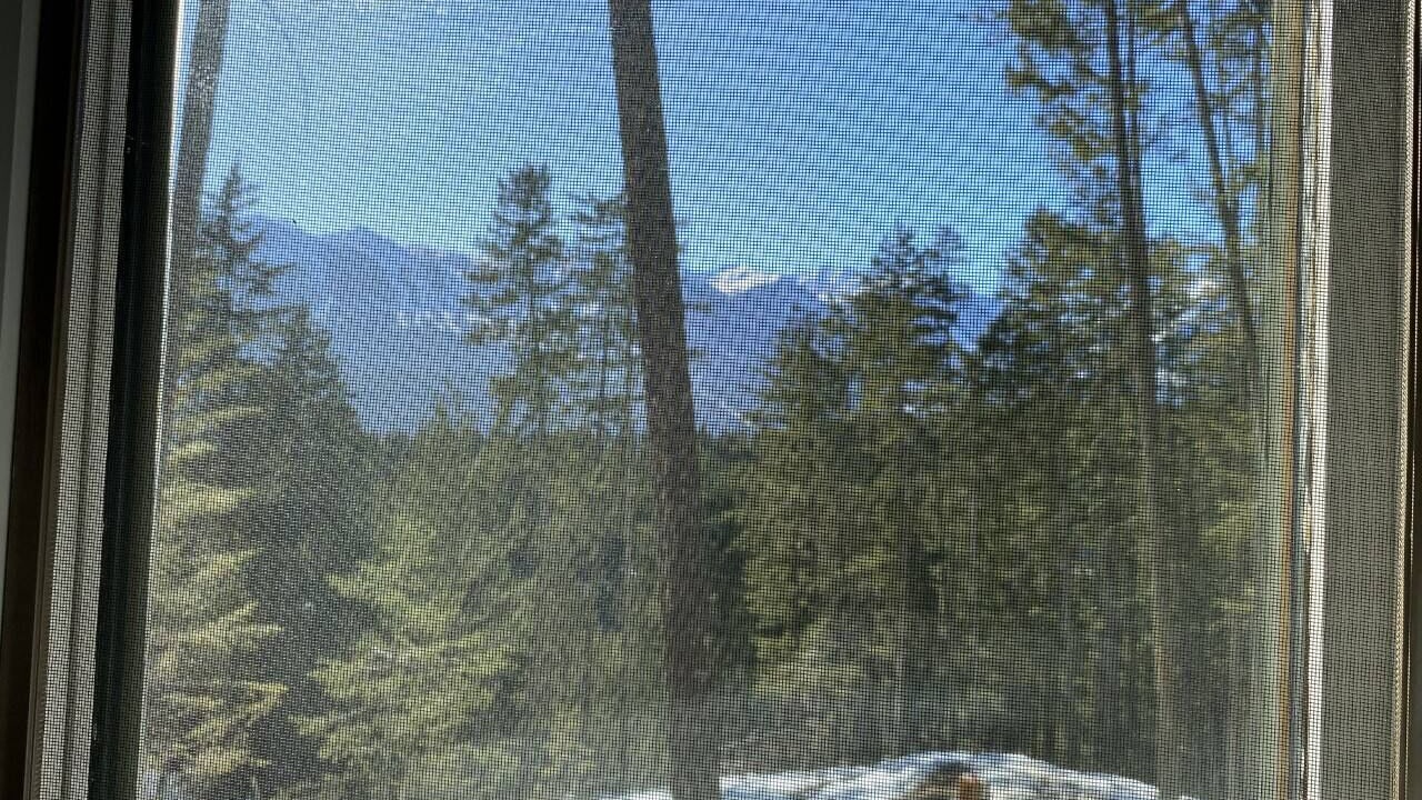 Photo of Others in Golden