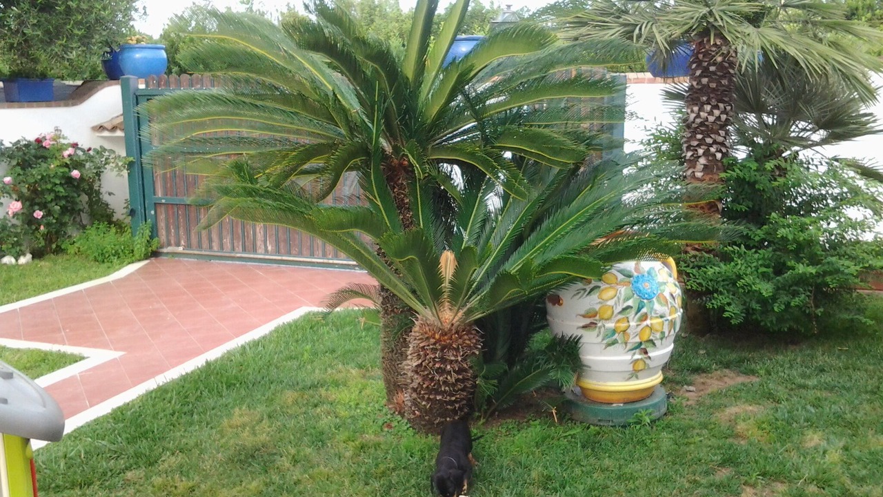 Photo of Outdoor in San Felice Circeo