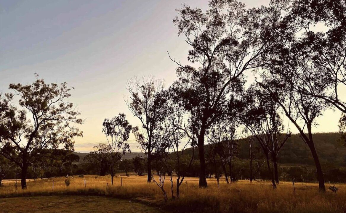 Photo of Others in Goomburra