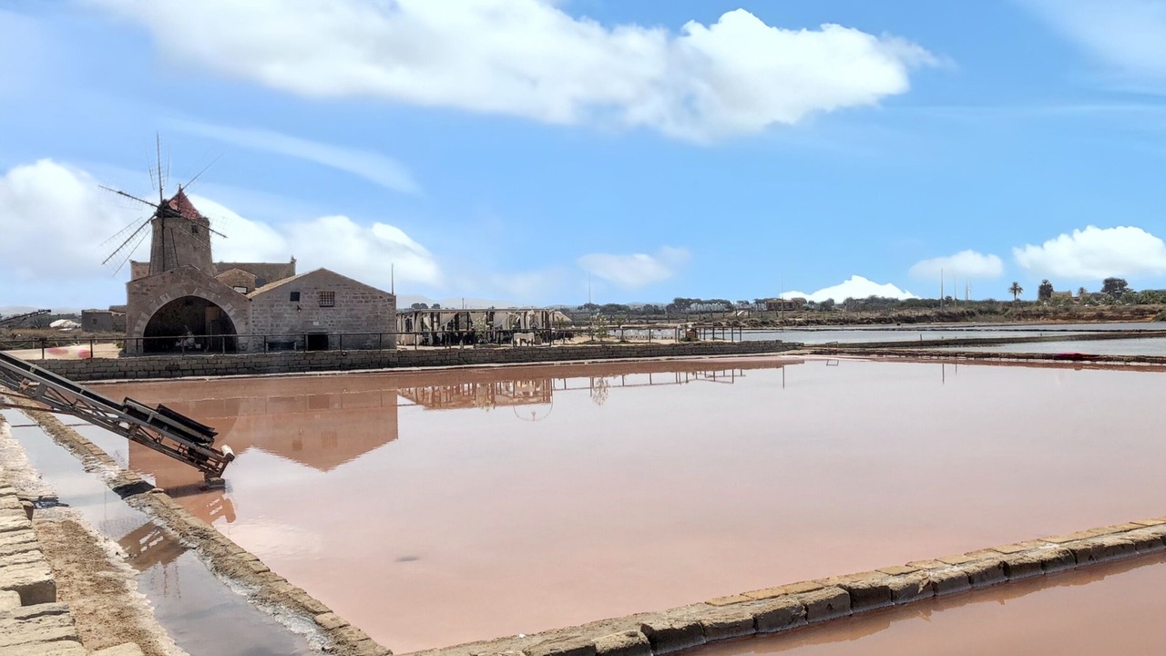 Photo of Others in Marsala