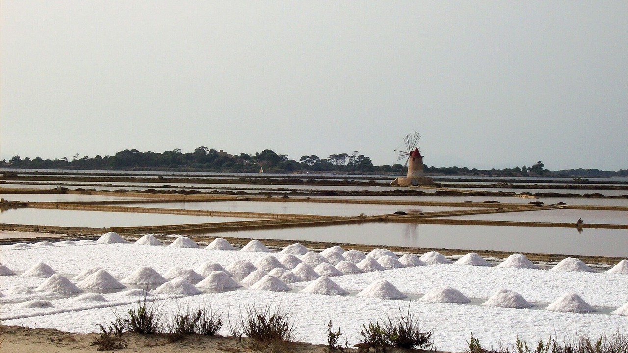 Photo of Others in Menfi