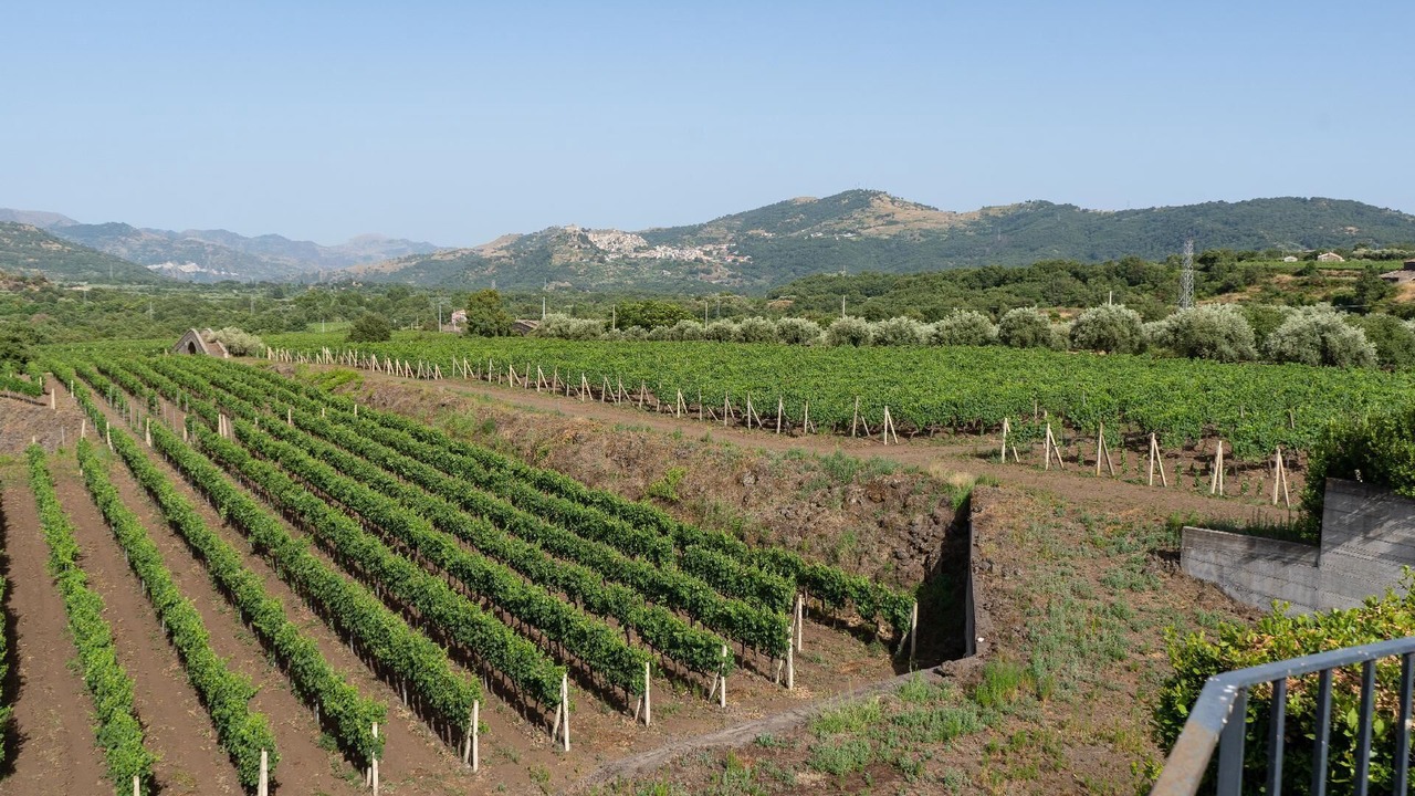 Photo of Outdoor in Castiglione di Sicilia