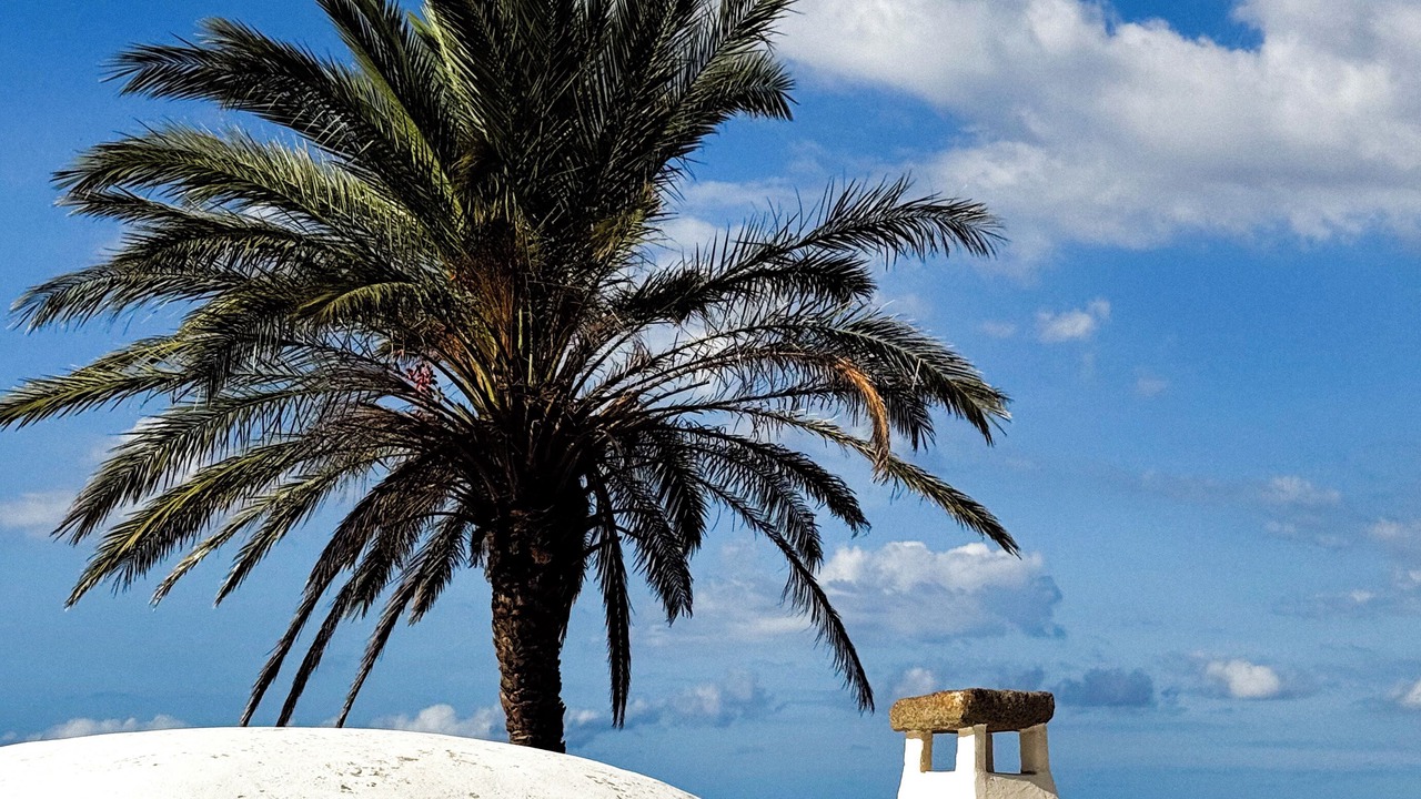 Photo of Others in Pantelleria