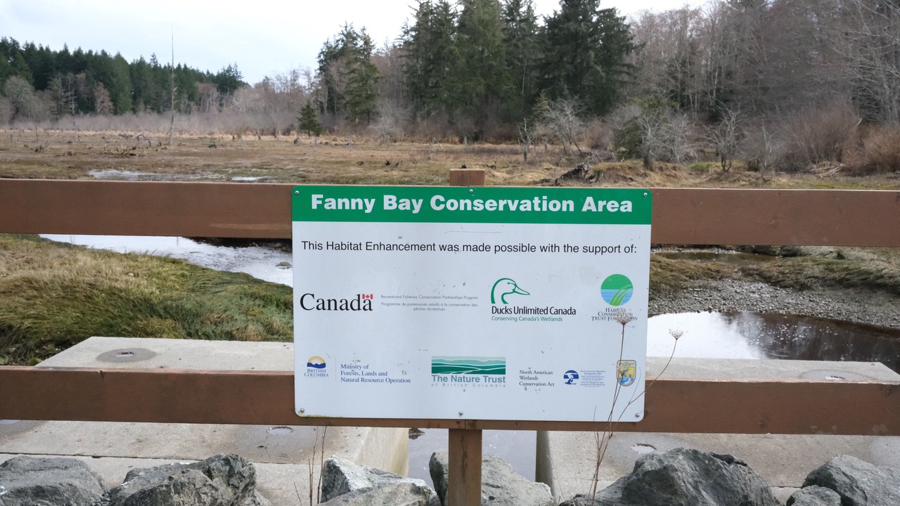 Photo of Others in Fanny Bay
