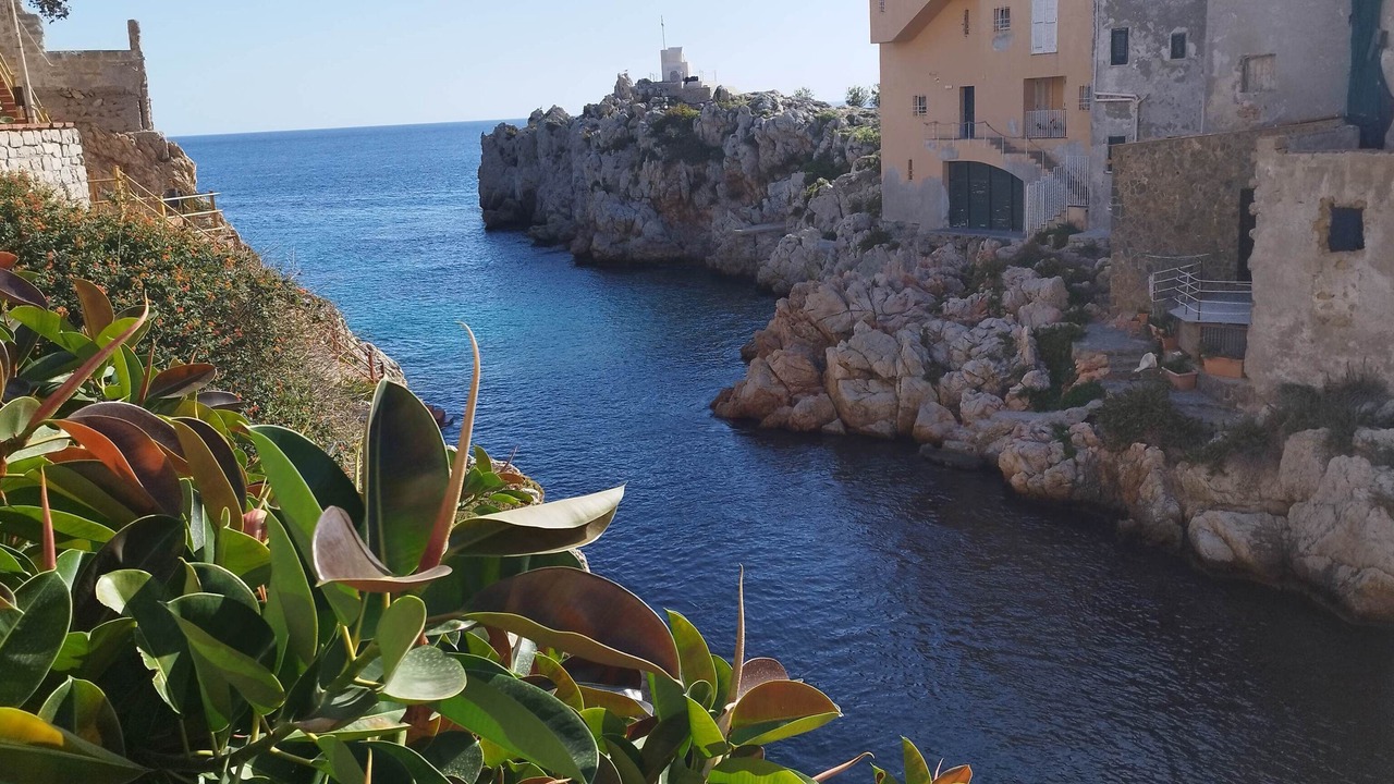 Photo of Outdoor in Porticello