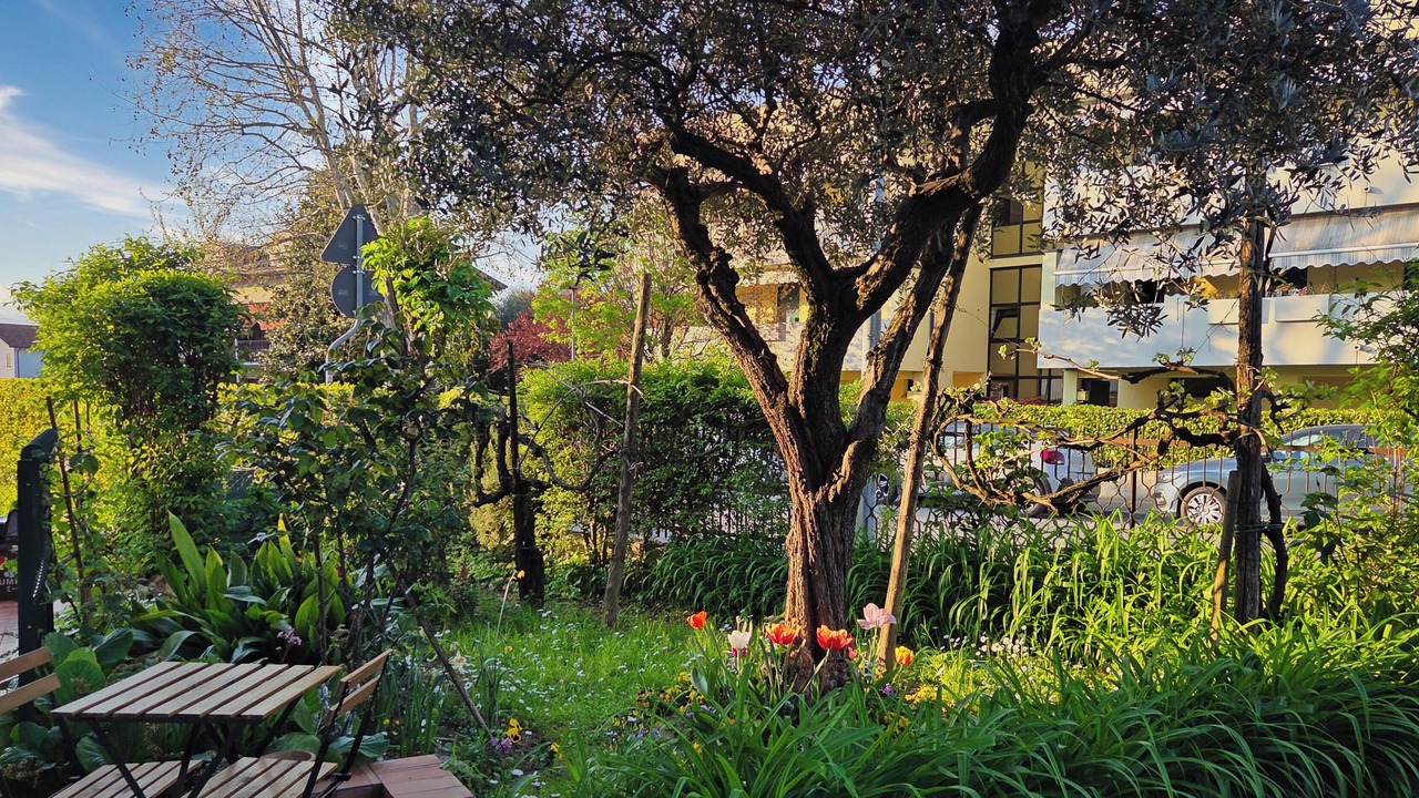 Photo of Outdoor in Montegrotto Terme