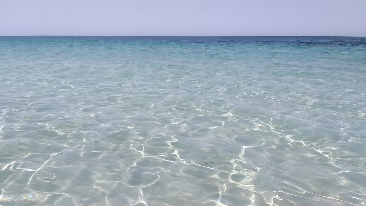 Photo of Others in Marsala