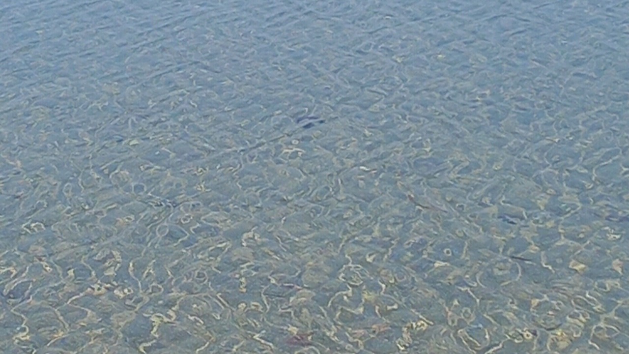 Photo of Others in Marsala