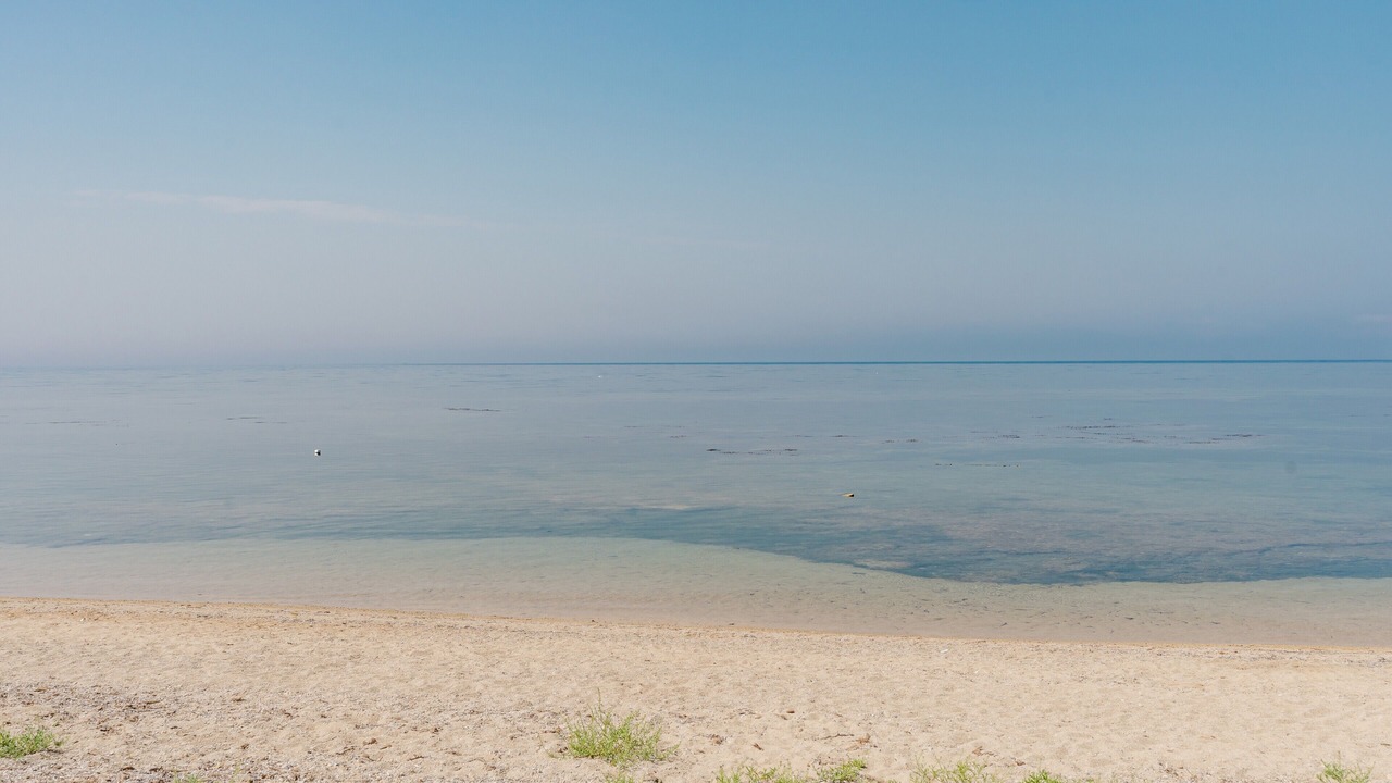 Photo of Others in Marsala