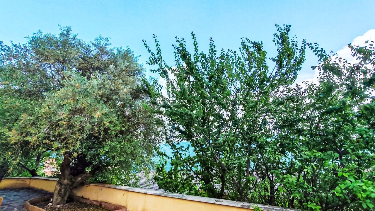 Photo of Others in Roccagiovine