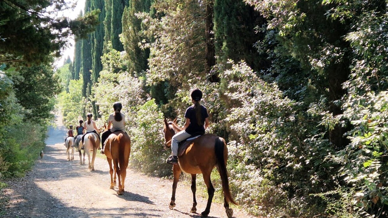 Photo of Others in Monteroni d'Arbia