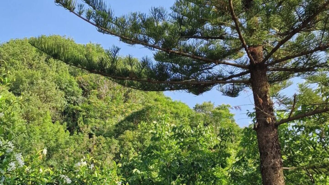 Photo of Outdoor in Saponara