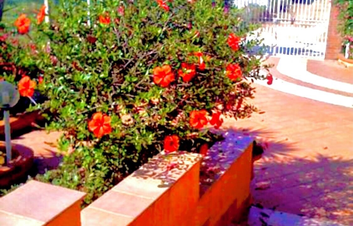 Photo of Outdoor in Terrasini