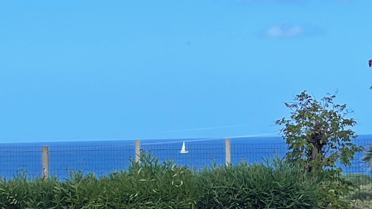 Photo of Others in Terrasini