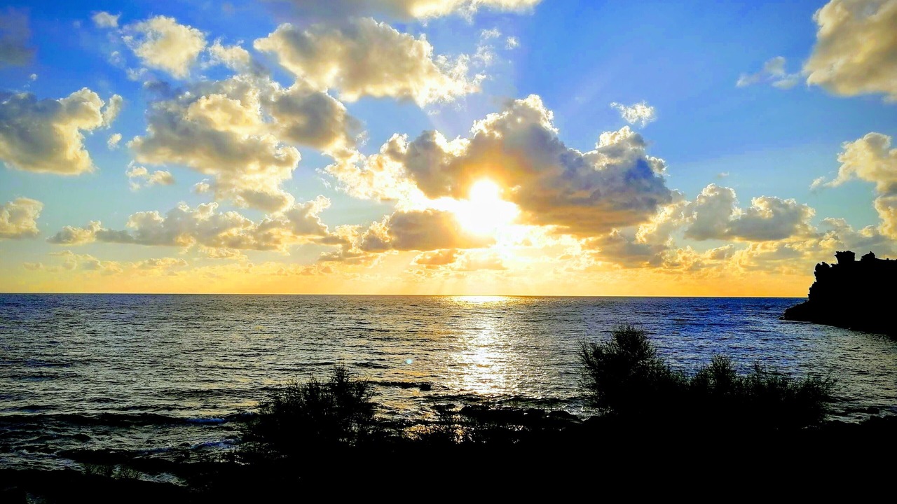 Photo of Others in Localita Punta Fram