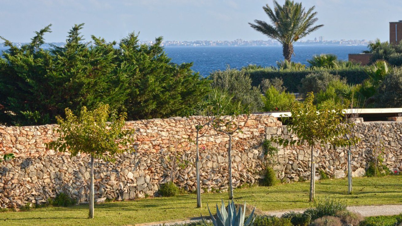 Photo of Others in Favignana