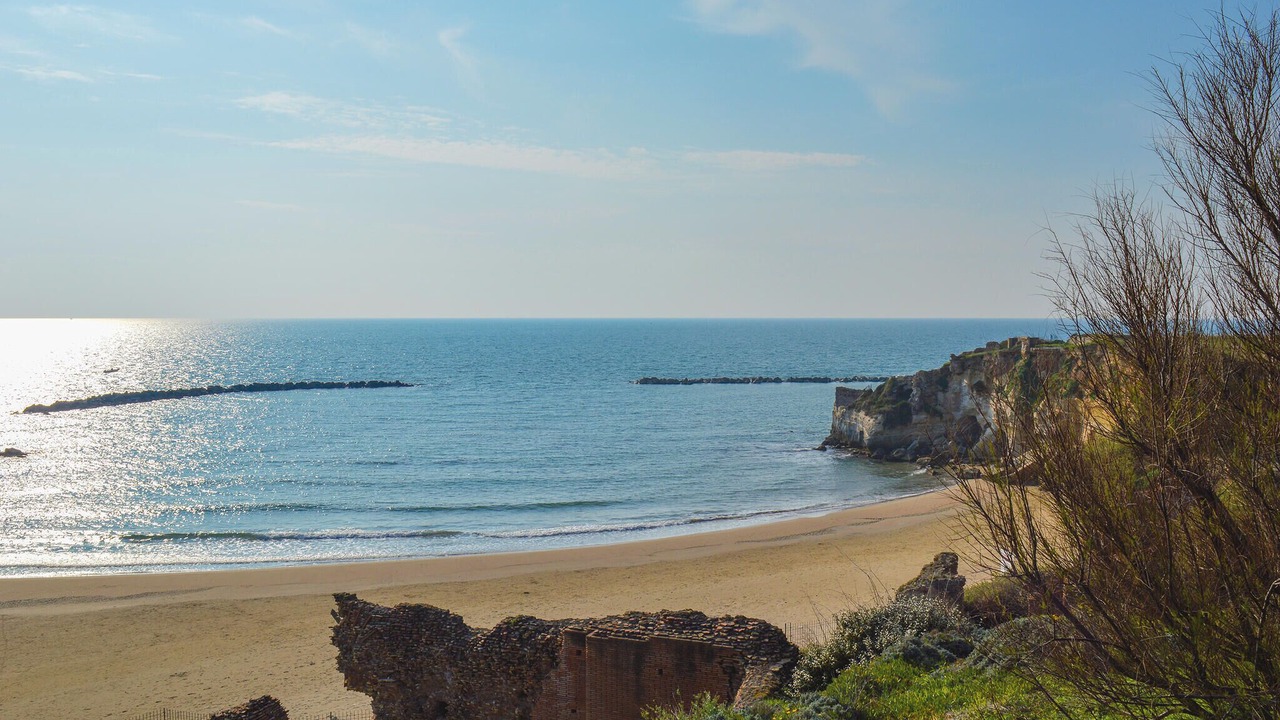 Photo of Others in Nettuno