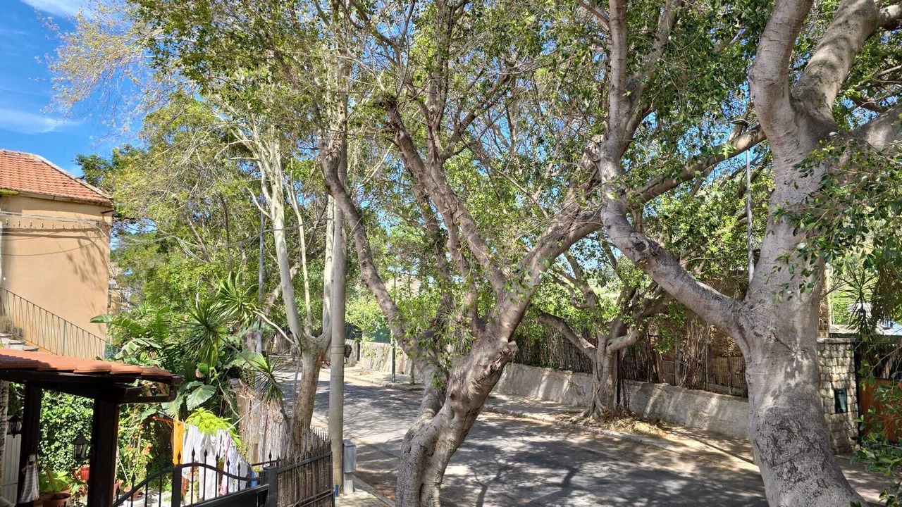 Photo of Outdoor in Aspra