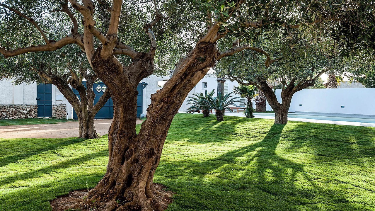 Photo of Others in Marsala