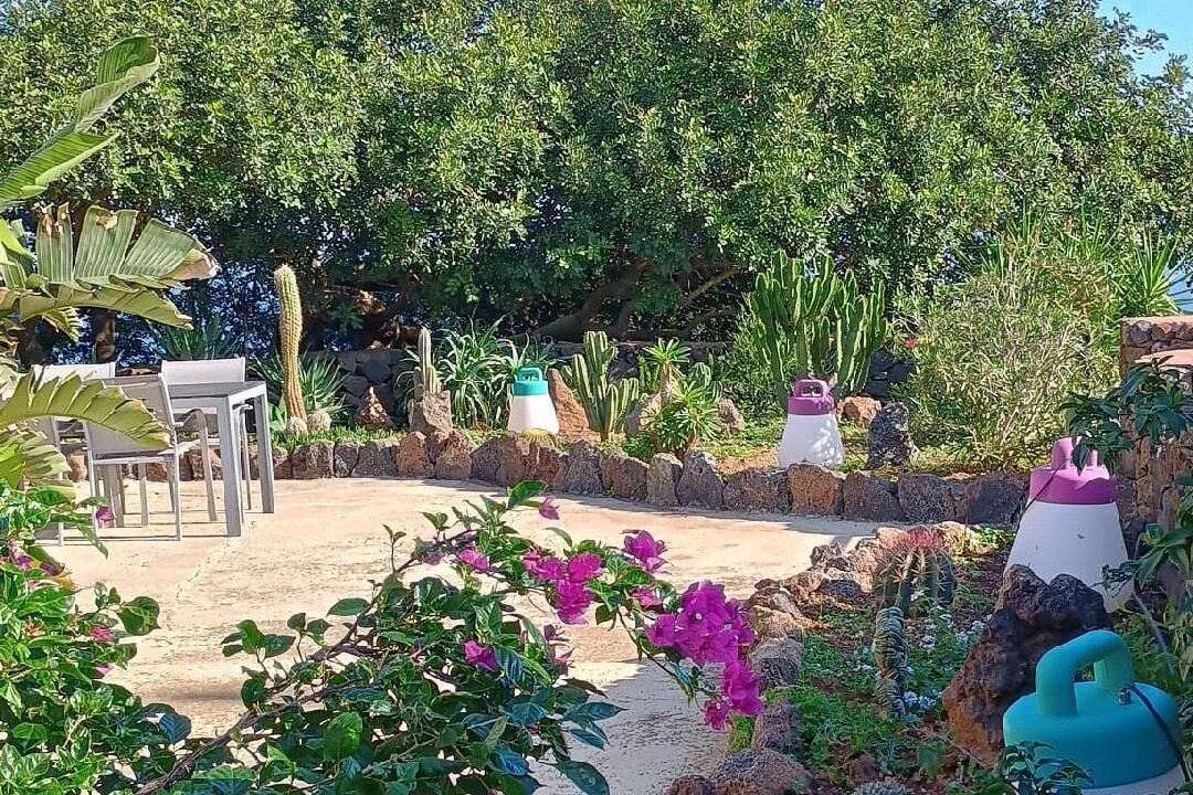 Photo of Outdoor in Pantelleria