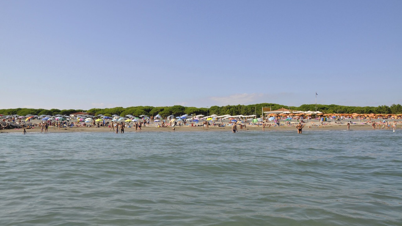 Photo of Others in Cavallino-Treporti
