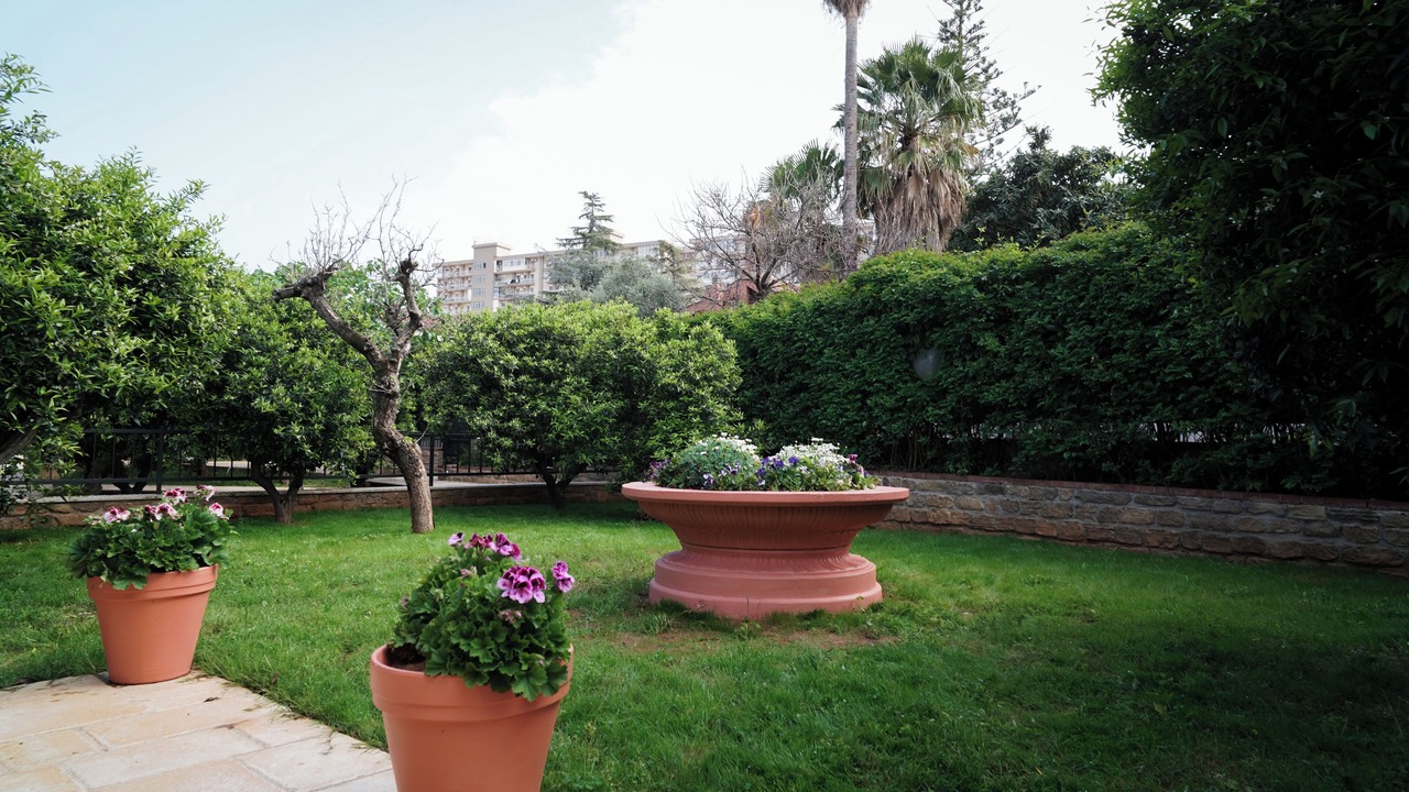 Photo of Outdoor in Palermo