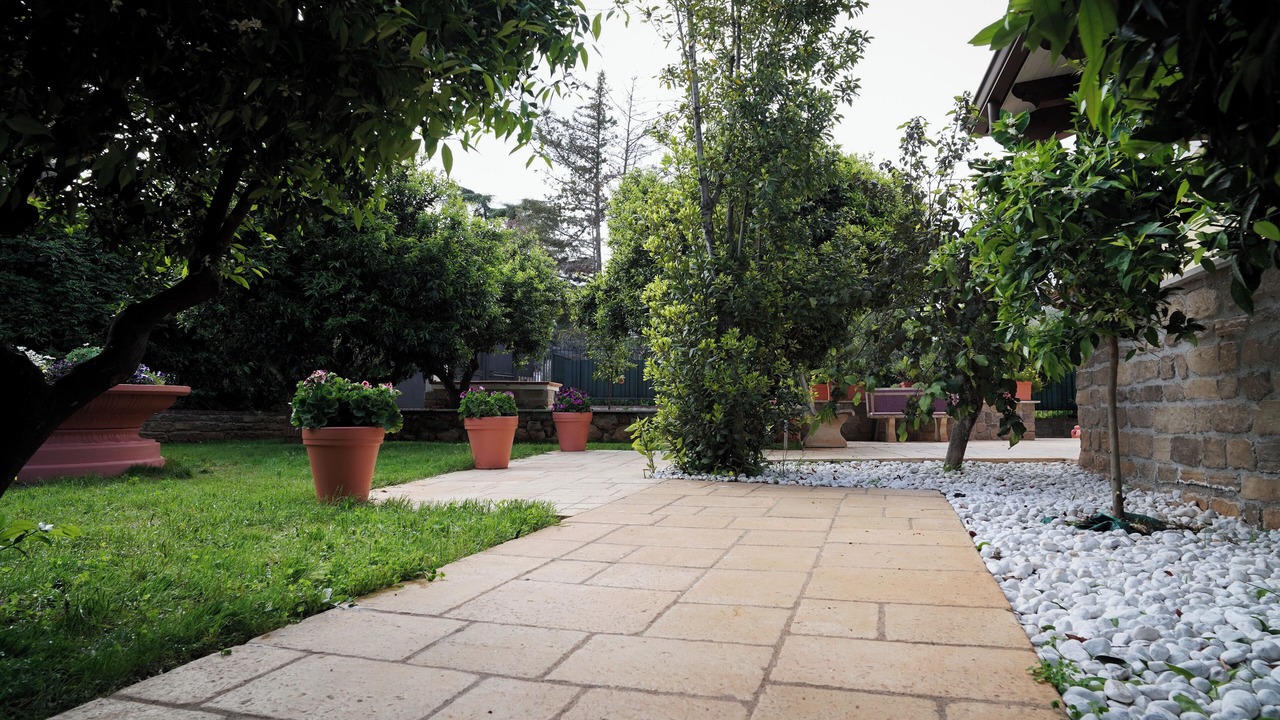 Photo of Outdoor in Palermo