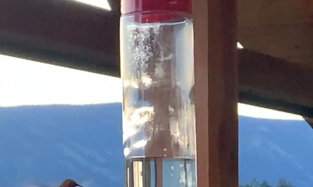 Photo of Others in Central Okanagan