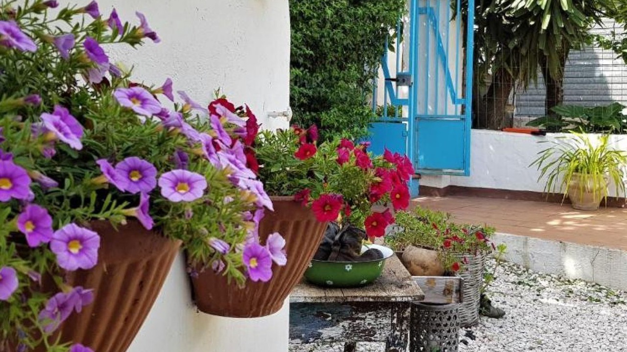 Photo of Outdoor in Oliena