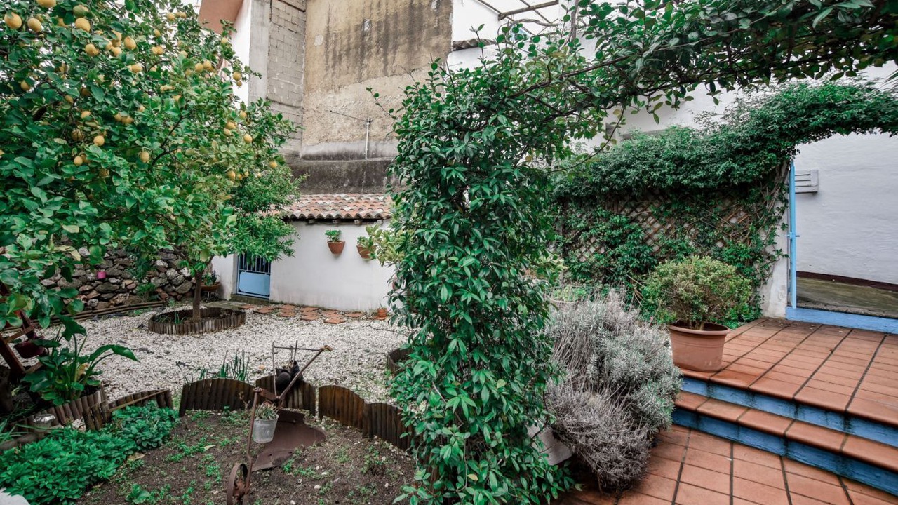Photo of Outdoor in Oliena