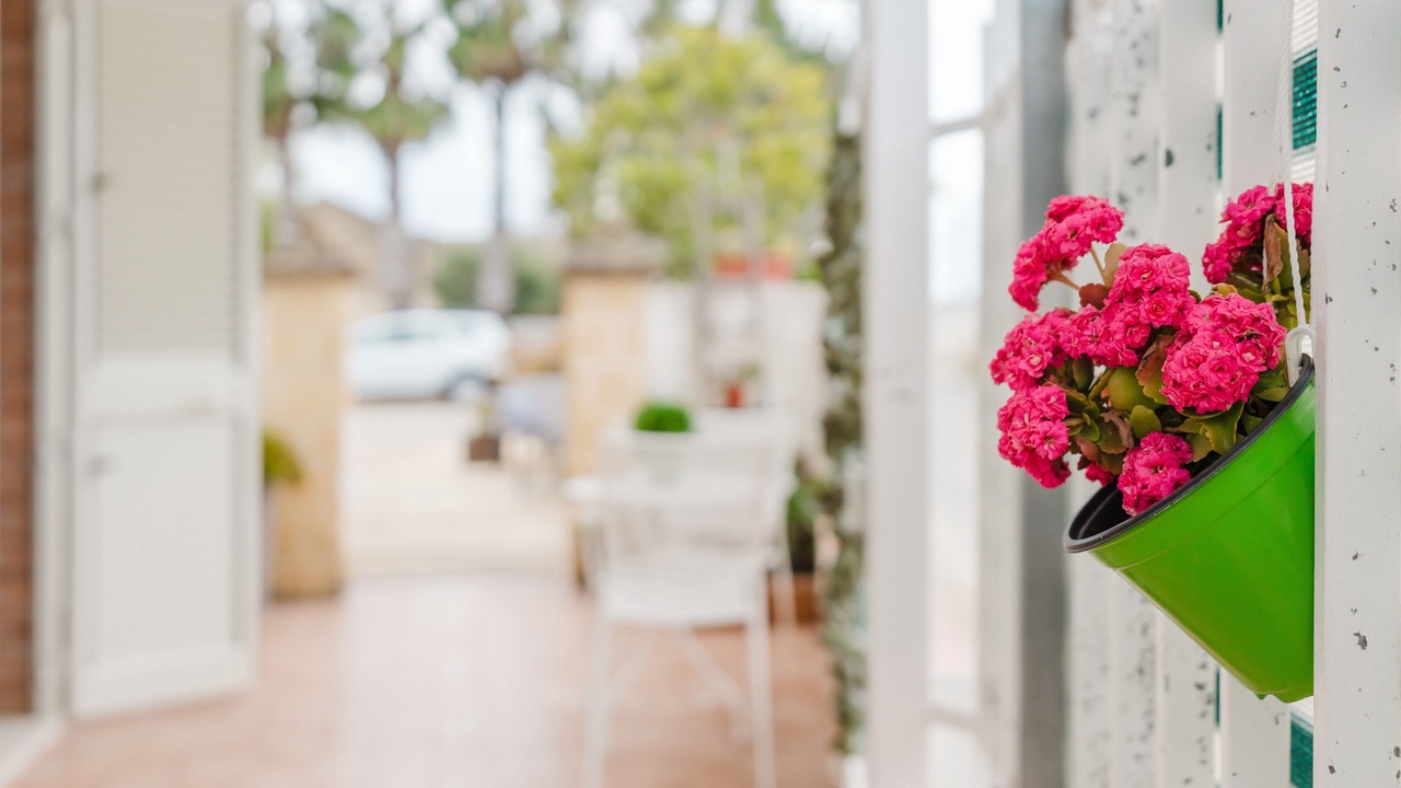 Photo of Outdoor in Marsala