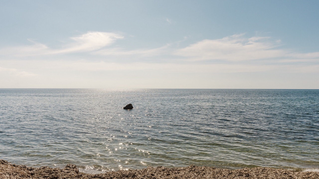 Photo of Others in Marsala