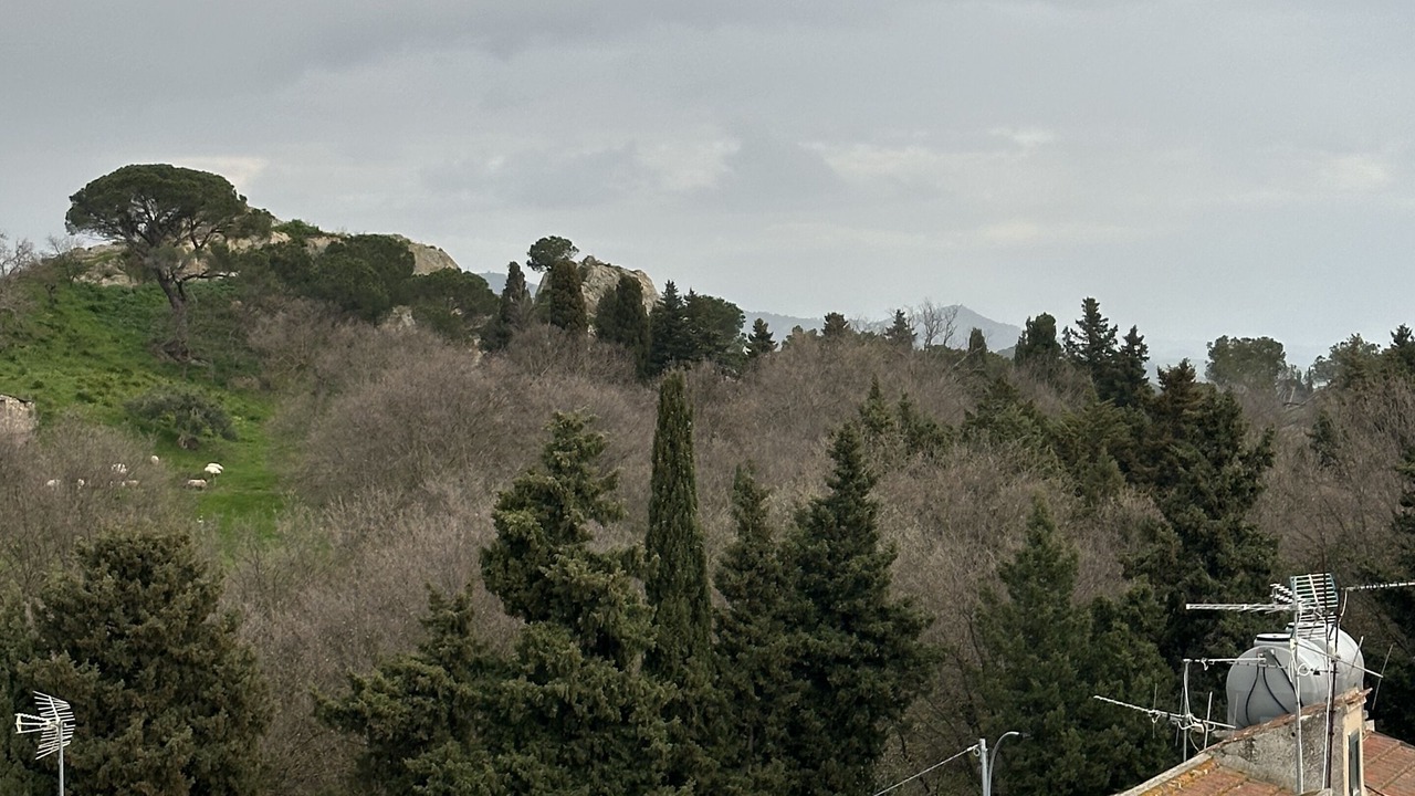 Photo of Others in Nicosia