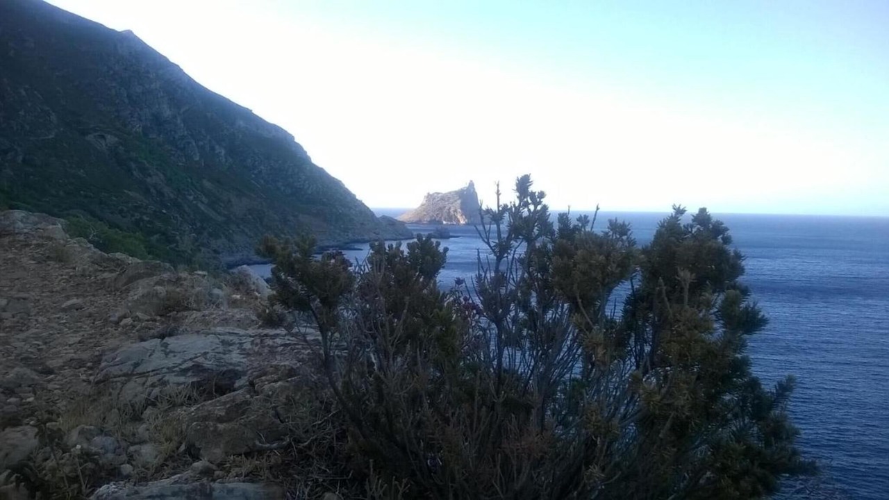 Photo of Others in Marettimo
