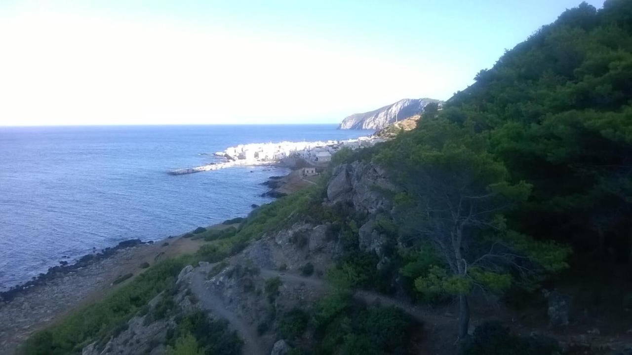 Photo of Others in Marettimo