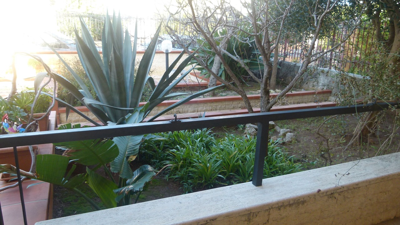 Photo of Outdoor in Carini