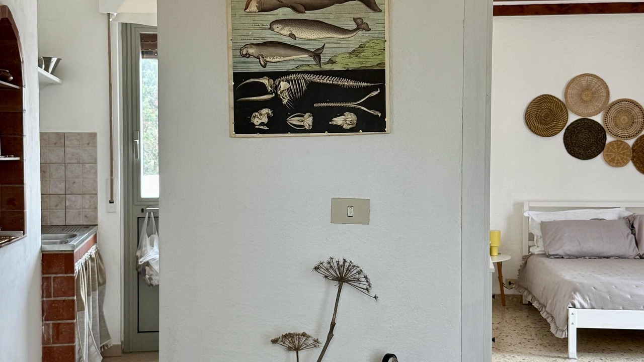 Photo of Bedroom in Favignana
