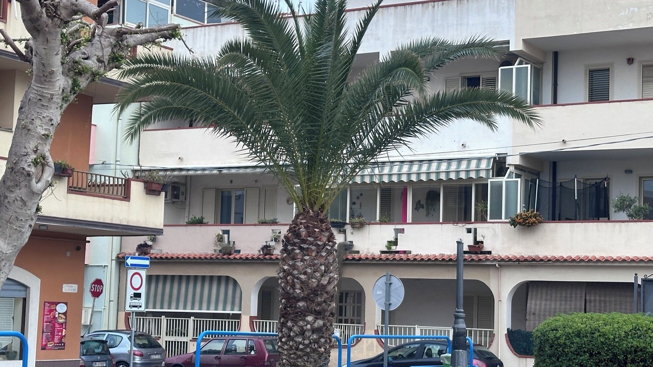Photo of Outdoor in Tonnarella