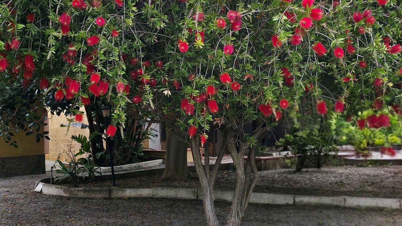 Photo of Outdoor in Piana Calzata