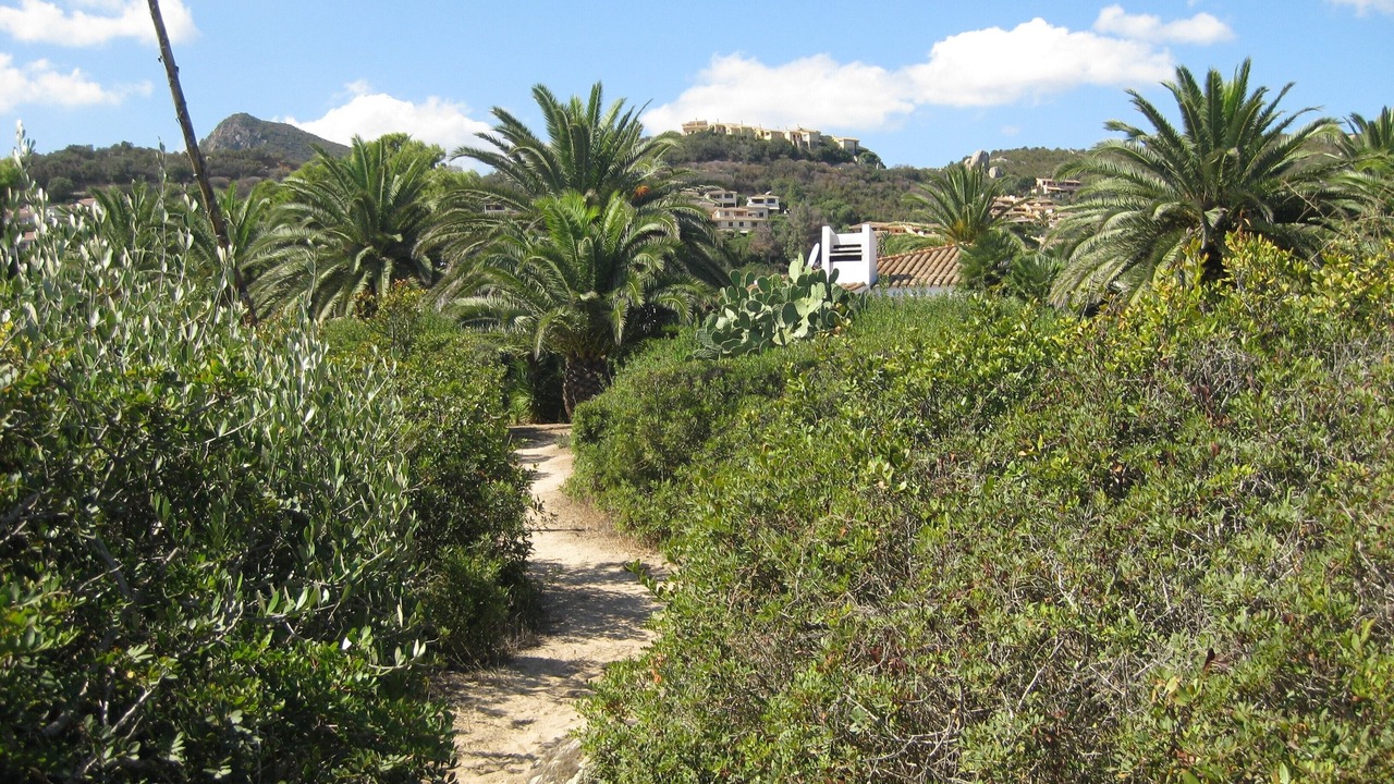 Photo of Others in Costa Rei