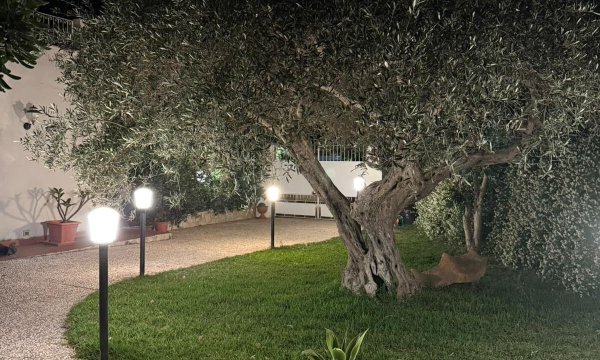 Photo of Outdoor in Citta del Mare