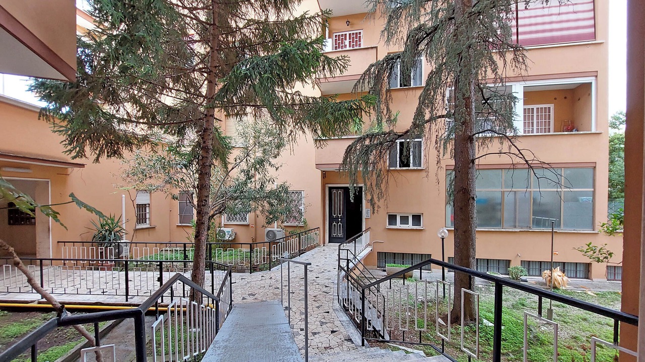 Photo of Outdoor in Aurelio