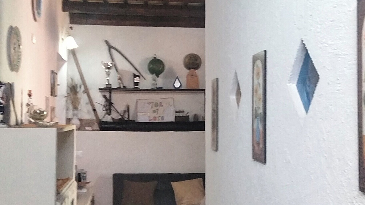 Photo of Others in Trapani