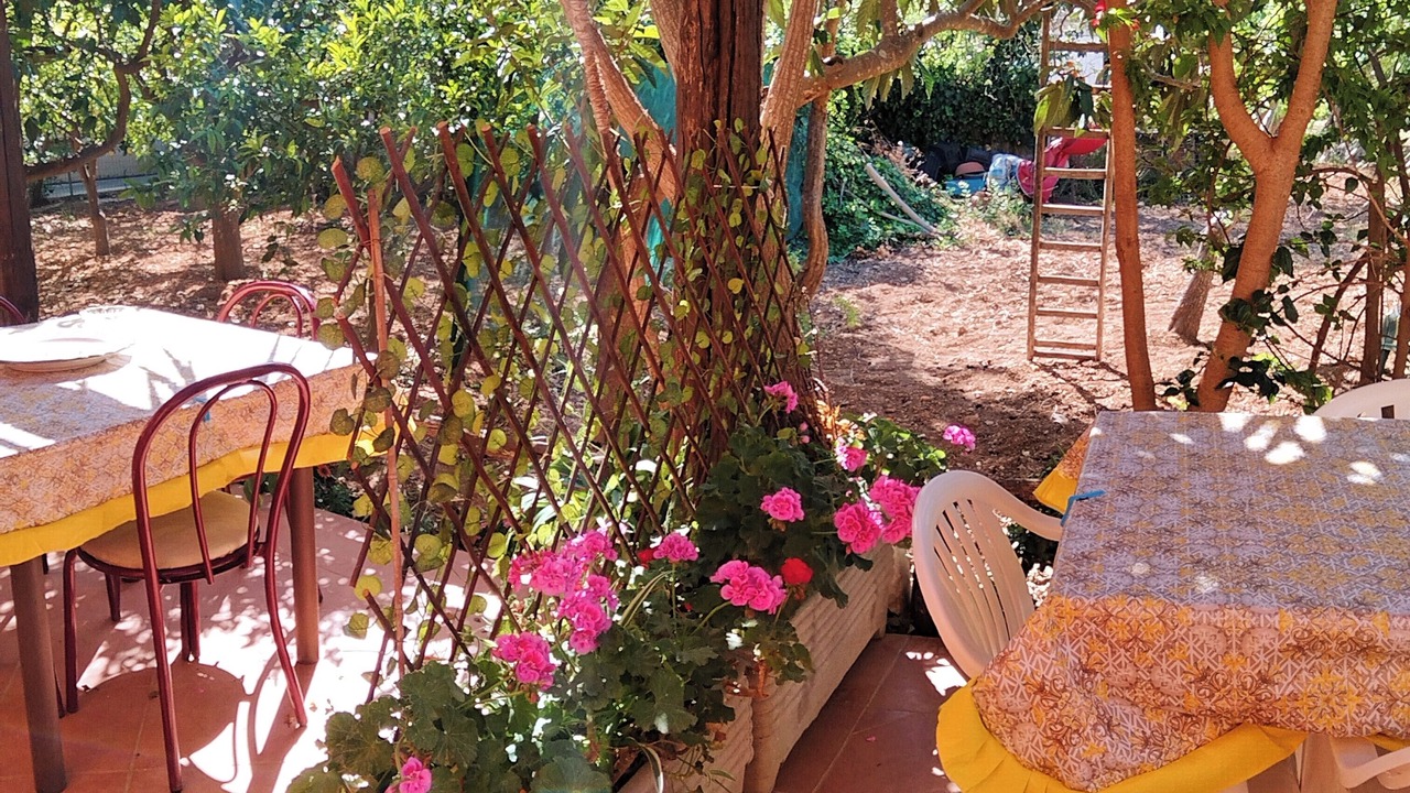 Photo of Outdoor in Trapani