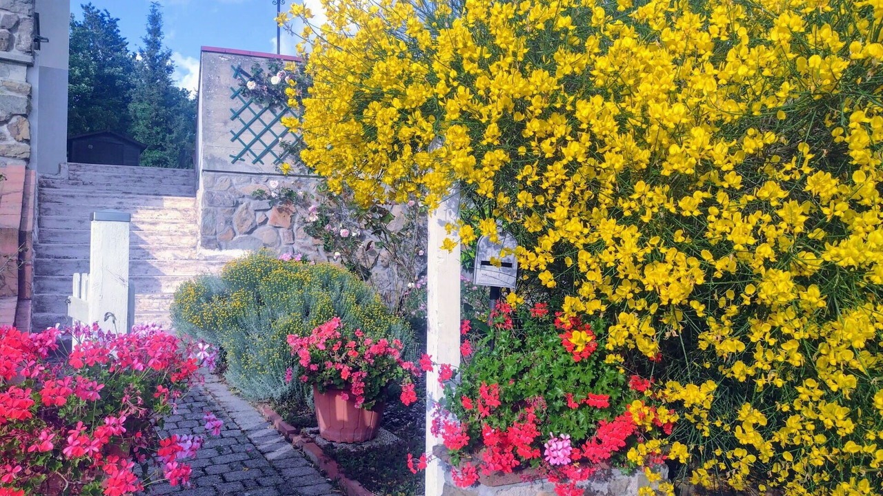 Photo of Outdoor in Giugnano