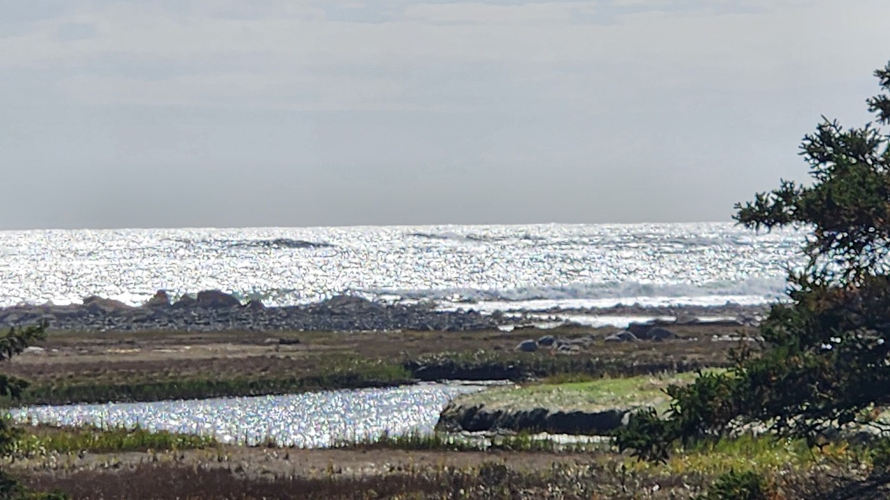 Photo of Others in Lunenburg County