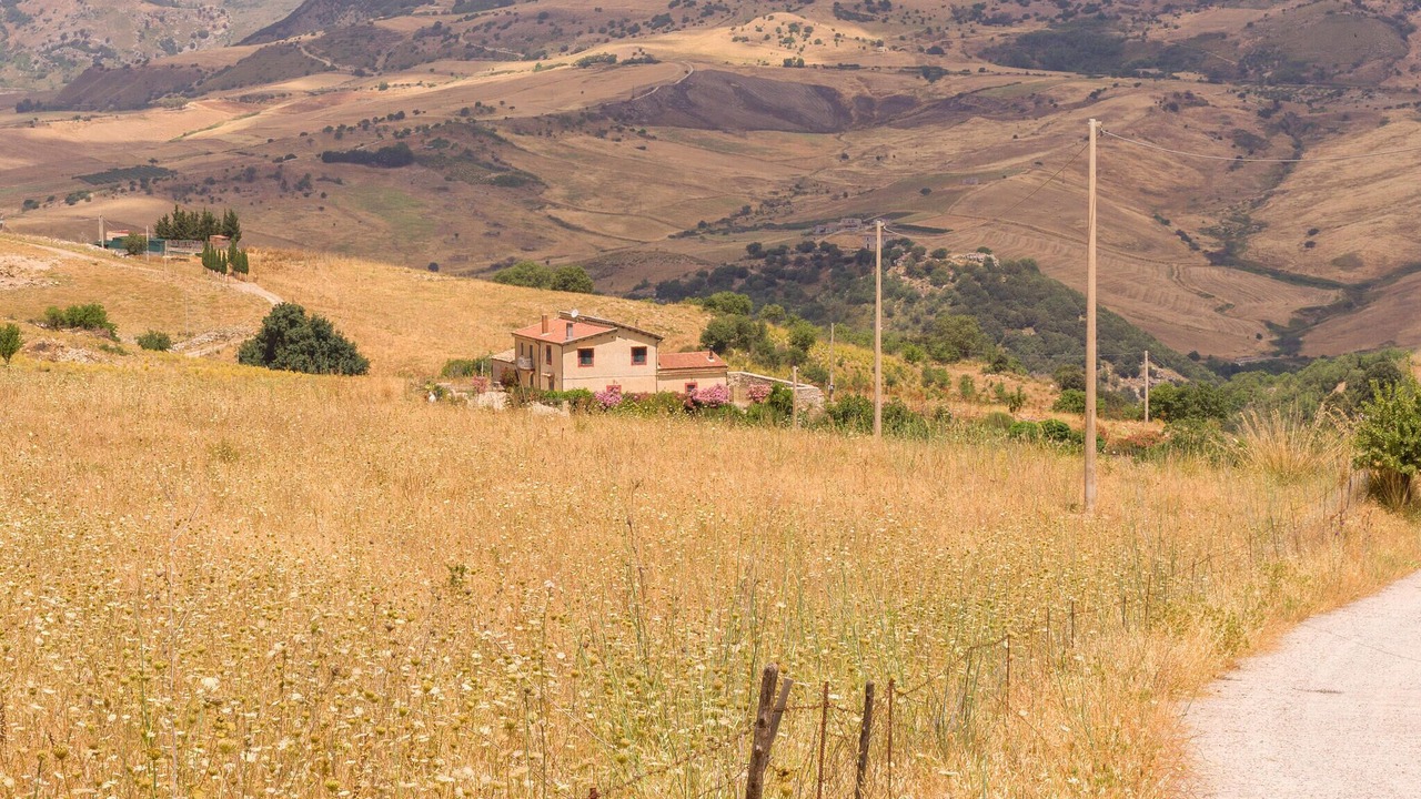 Photo of Others in Partinico