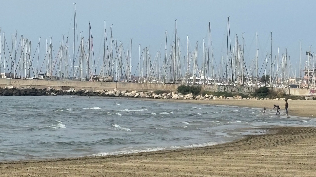 Photo of Others in Nettuno