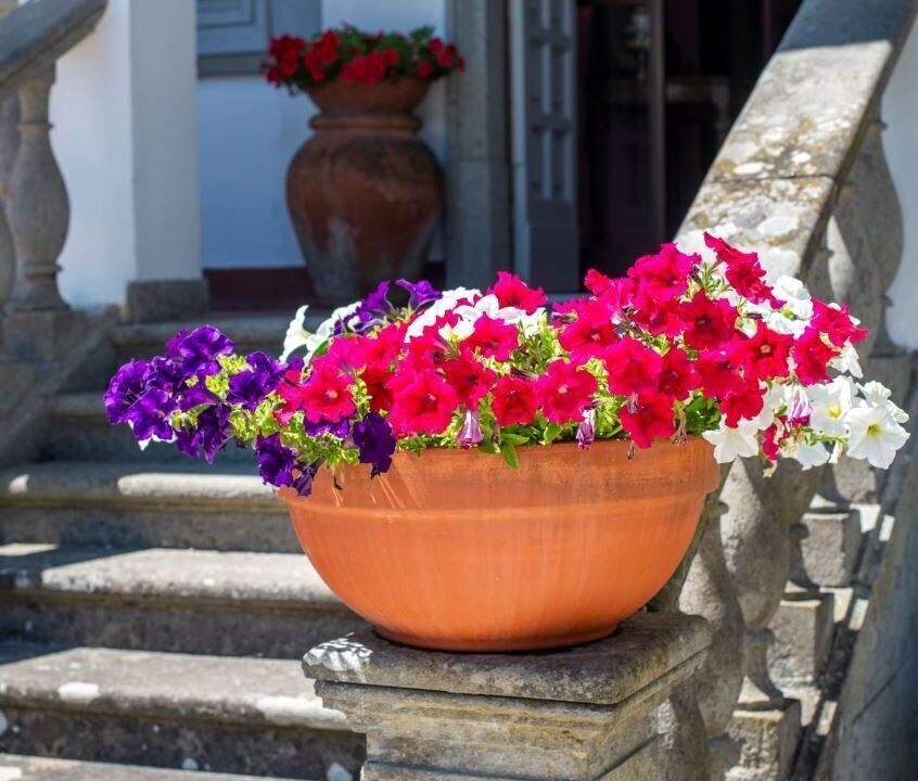 Photo of Outdoor in Corchiano