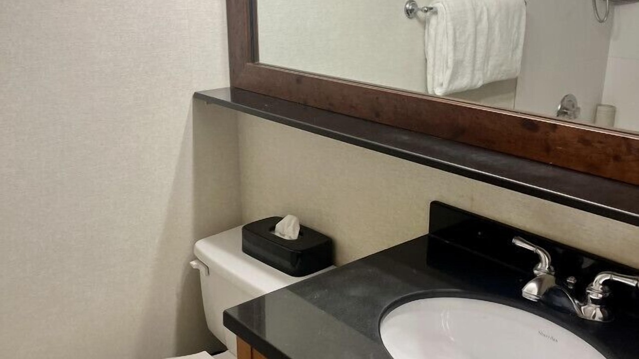Photo of Bathroom in Whistler Village